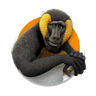 Babatua