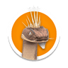 Spike