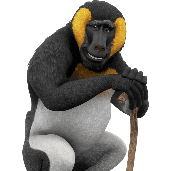 Babatua
