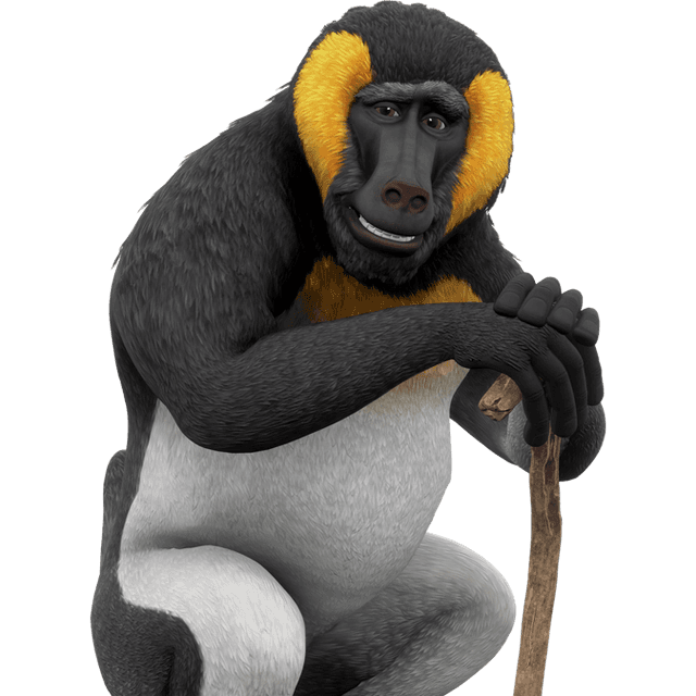 babatua
